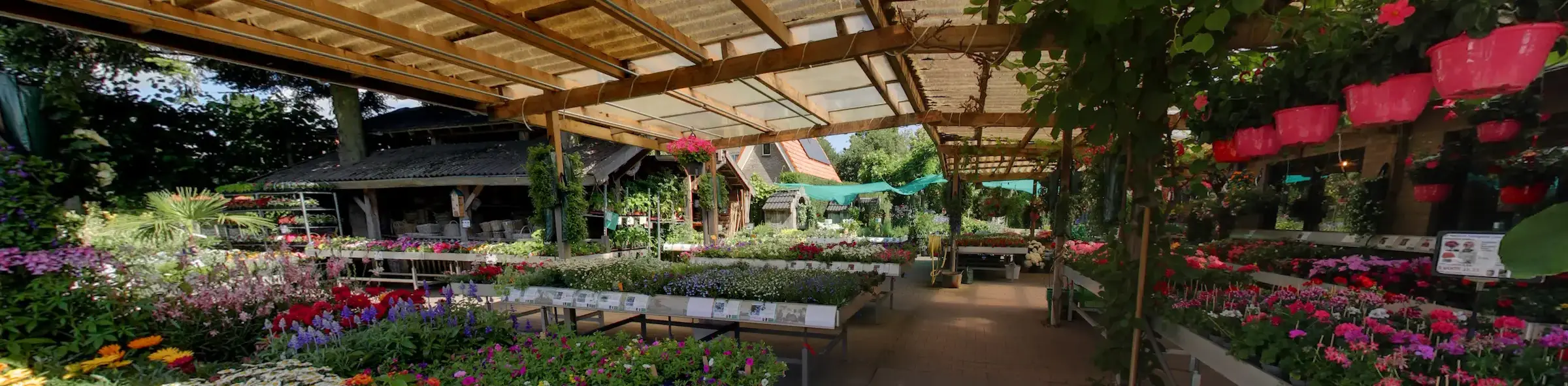 Tuincentrum Wilp