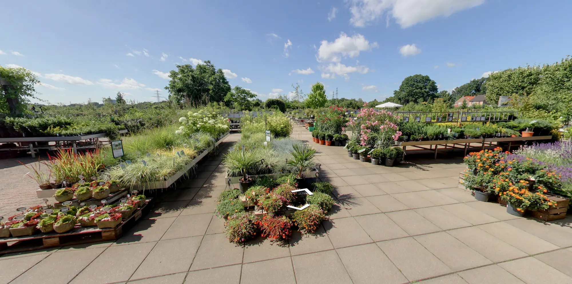 Tuincentrum Eefde Bezoeken