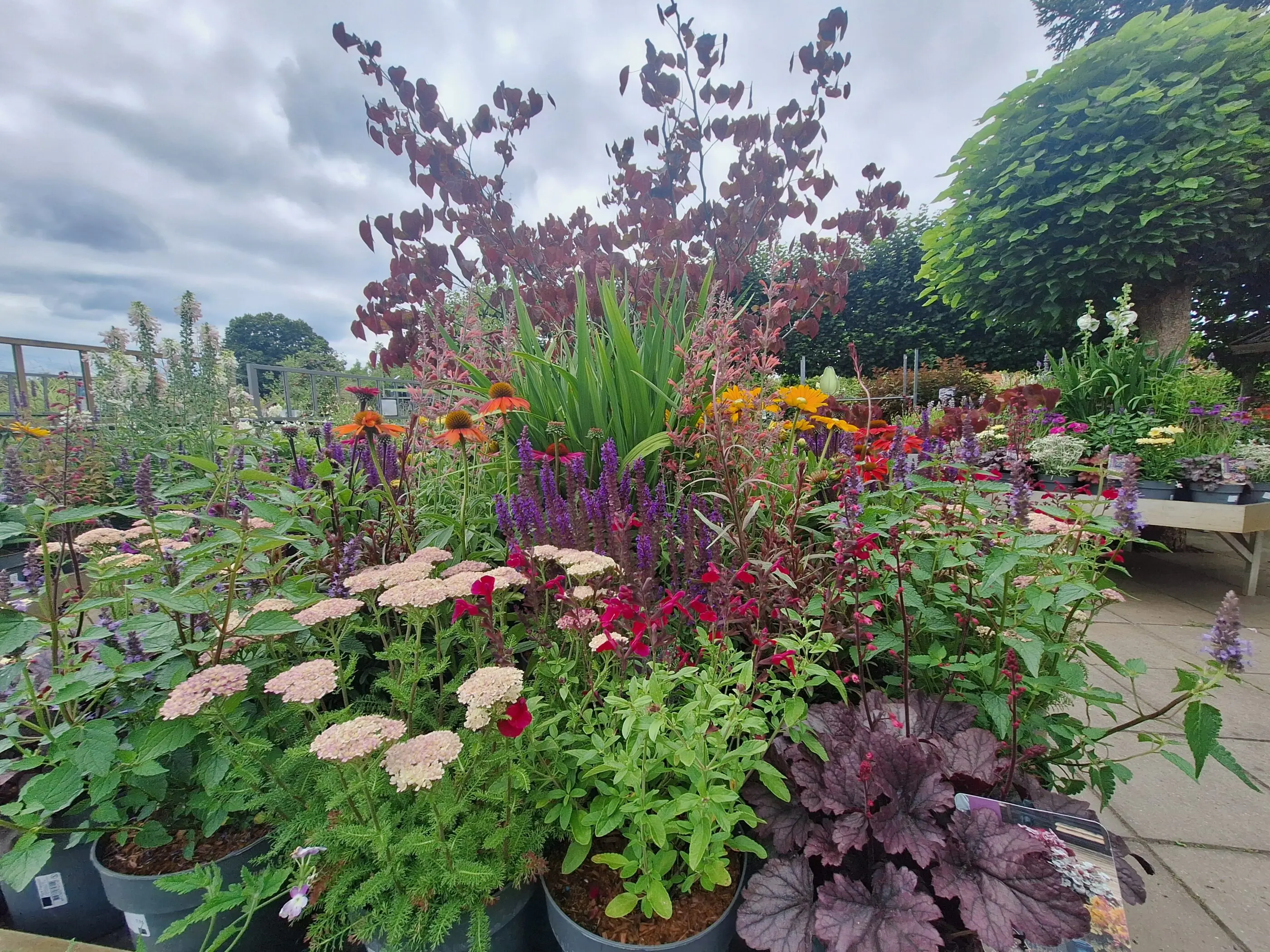 Tuincentrum Oene