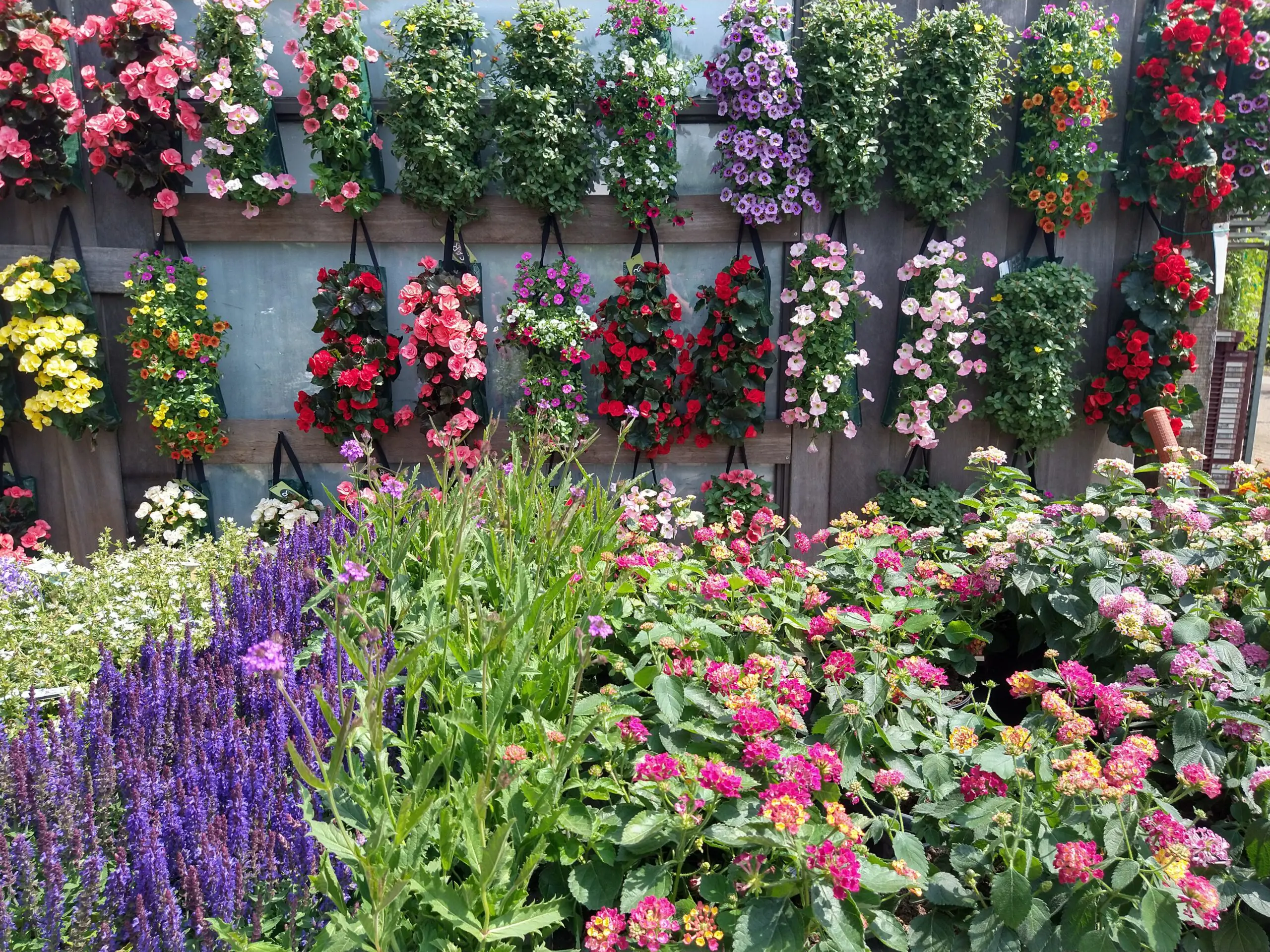 Tuincentrum Klarenbeek