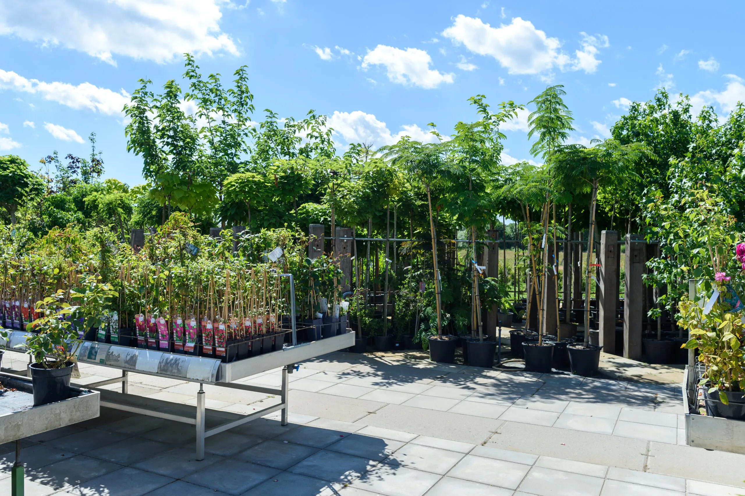 Tuincentrum Klarenbeek Bezoeken