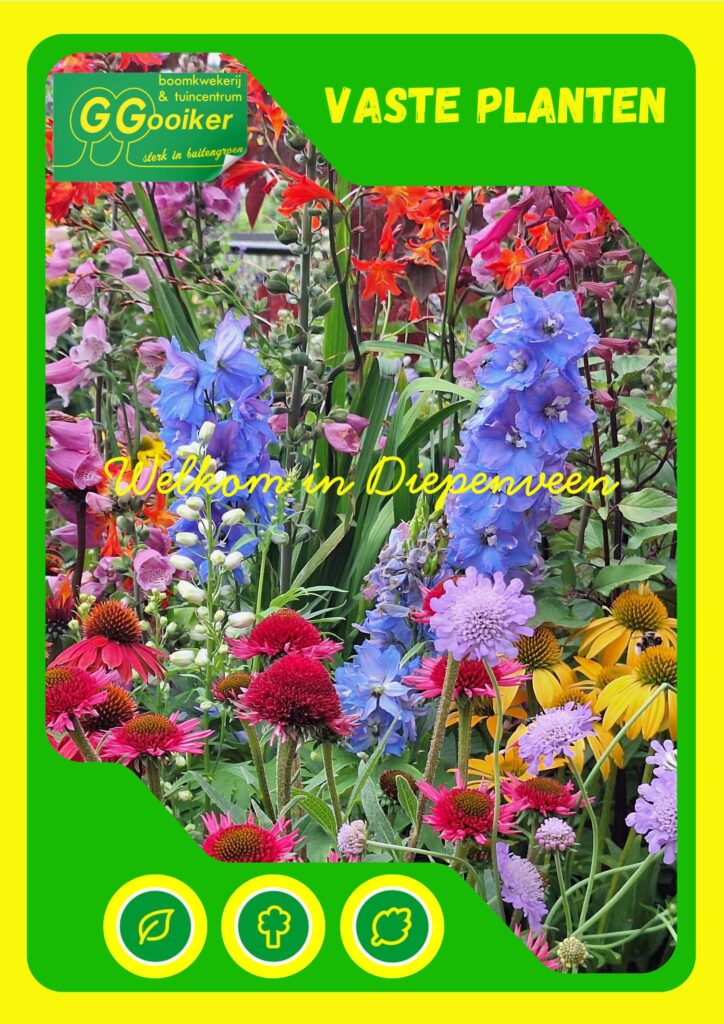 vaste planten gids