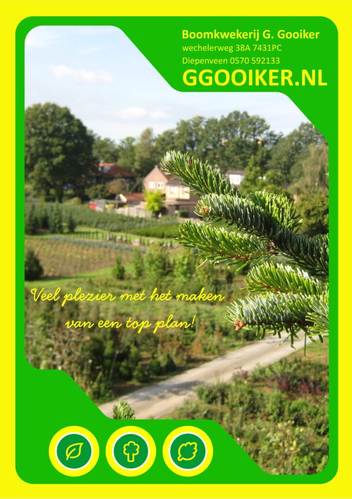 je eigen border met een goed tuinplan