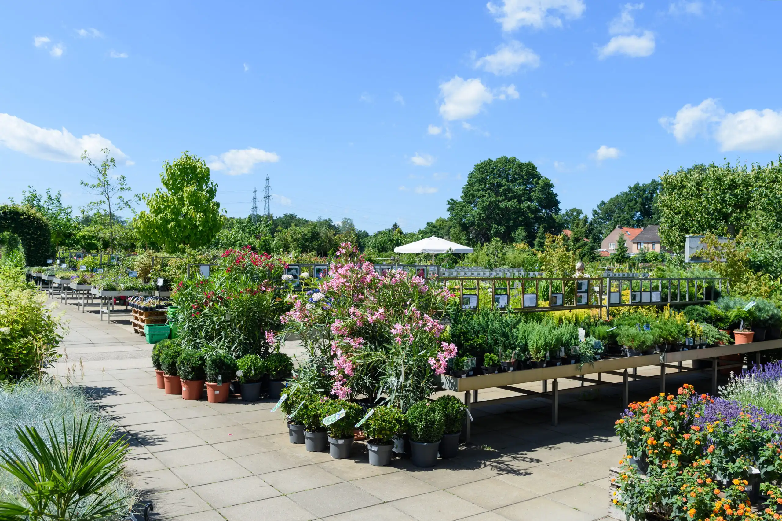 Terwolde Tuincentrum